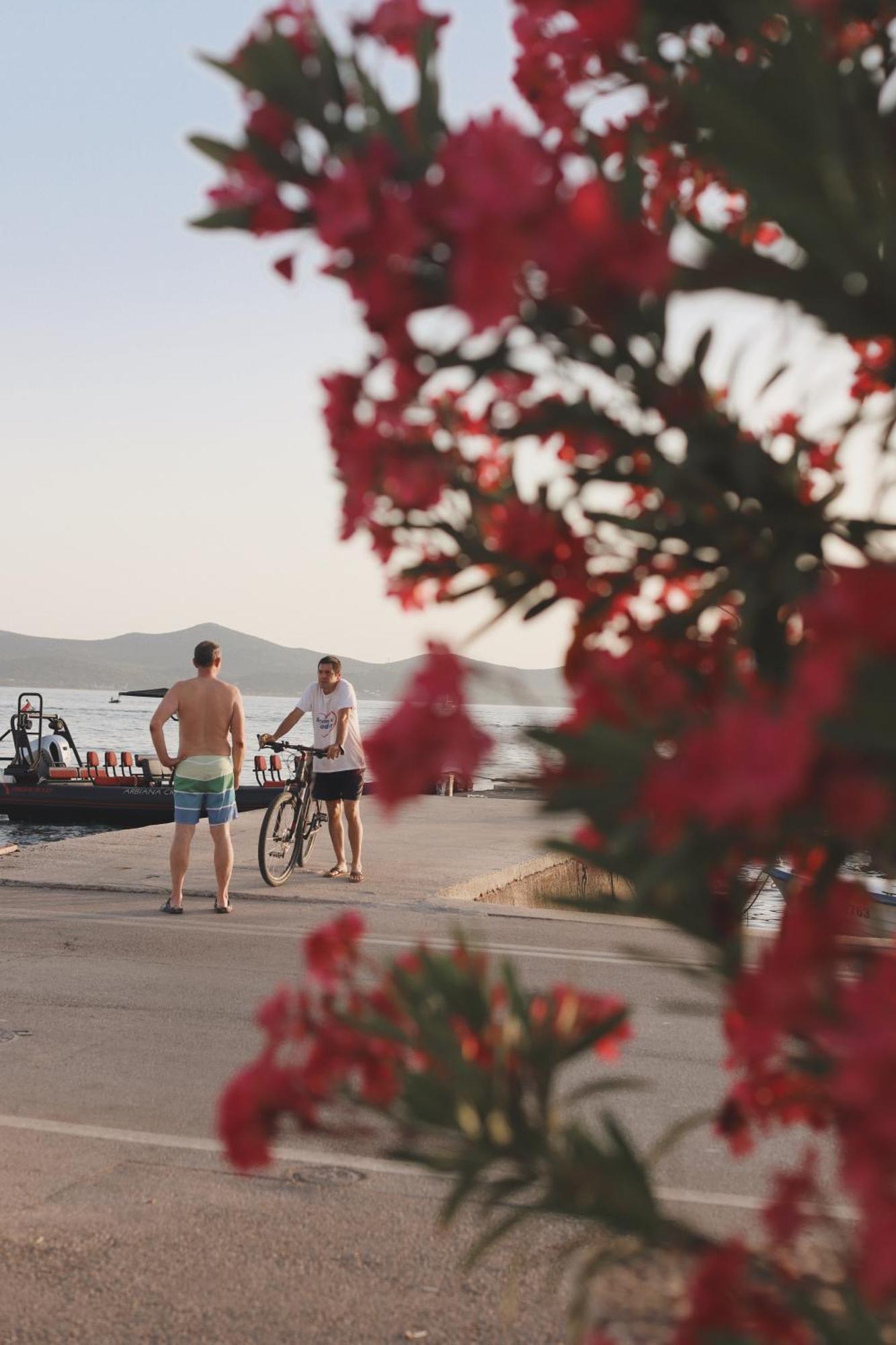 Casa Sol Villa Zadar Ngoại thất bức ảnh